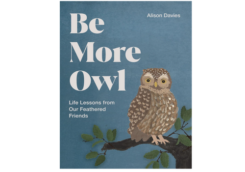  Be More Owl: Life Lessons from Our Feathered Friends 