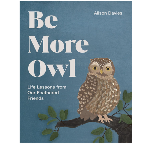  Be More Owl: Life Lessons from Our Feathered Friends 