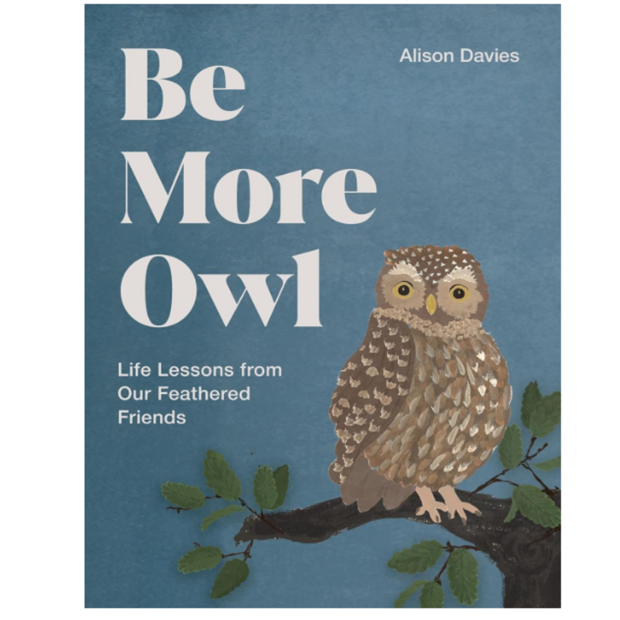 Be More Owl: Life Lessons from Our Feathered Friends