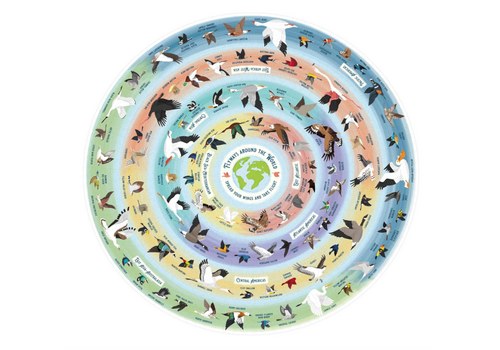  Bird Lover's 1000-Piece Jigsaw Puzzle 