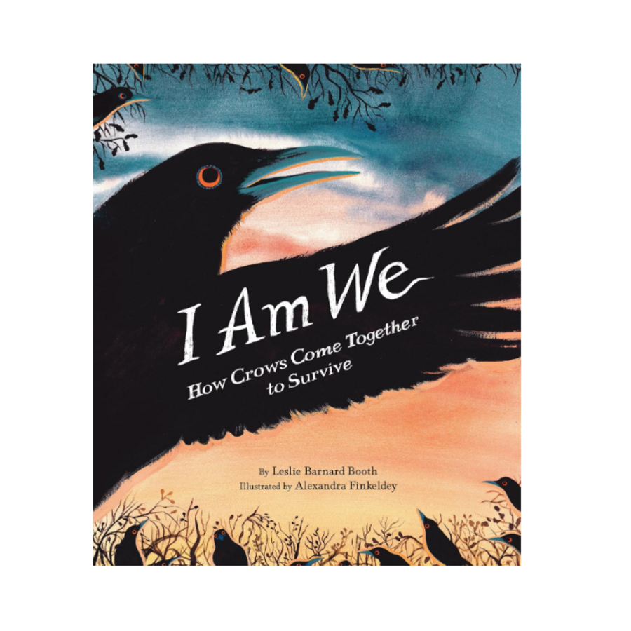 I Am We: How Crows Come Together to Survive