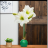 Bloomaker Evergreen - Green Bulb with White Blossoms