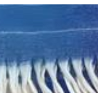 Cozy Stripe Scarf with Fringe