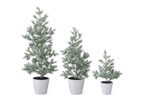  K & K Interiors Inc Juniper Tree with Berries in White Pot 