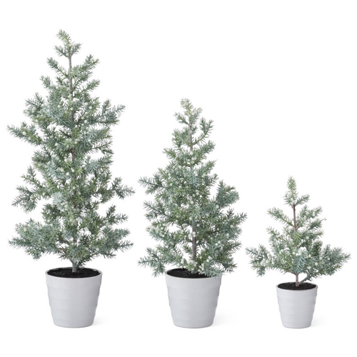  K & K Interiors Inc Juniper Tree with Berries in White Pot 