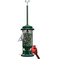 Squirrel Buster Standard