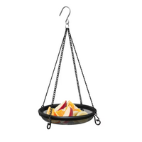 New Age Seed & Fruit Platform Feeder