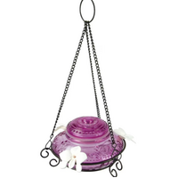 Antique Glass Top Hummingbird Feeder in Feeder Basket