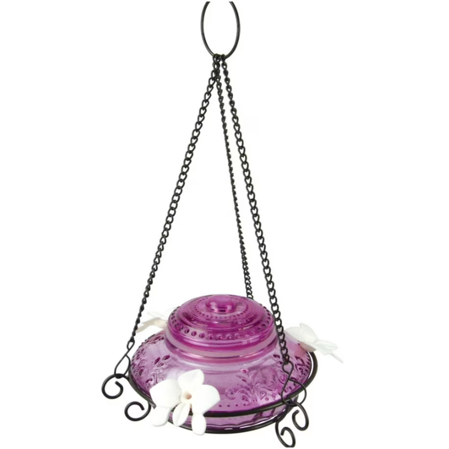 Antique Glass Top Hummingbird Feeder in Feeder Basket