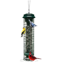 Squirrel Solution Bird Feeder