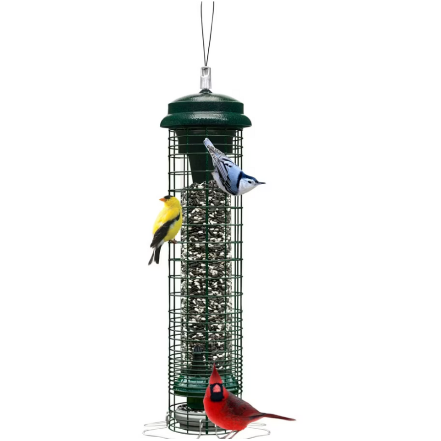 Squirrel Solution Bird Feeder