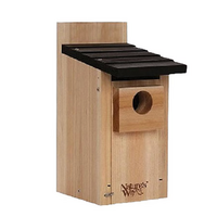 Cedar Bluebird Box House