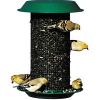 Magnum Sunflower Screen Feeder