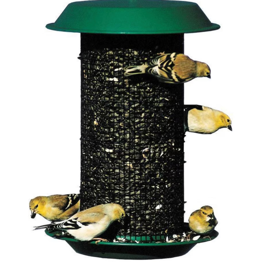 Magnum Sunflower Screen Feeder