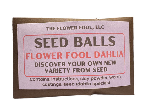  The Flower Fool Dahlia Seed Packet 