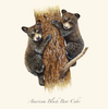 Earth sky water Black Bear Cubs Boxed Notecards