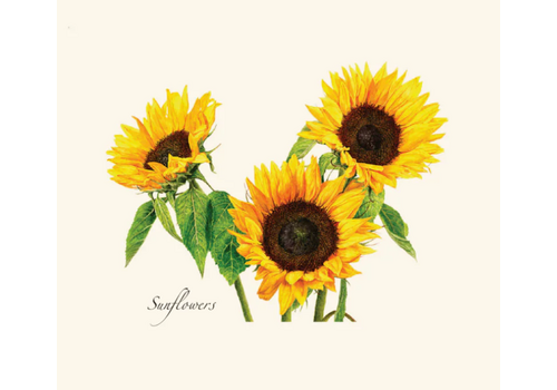  Earth sky water 3 Sunflowers Boxed Note Cards 
