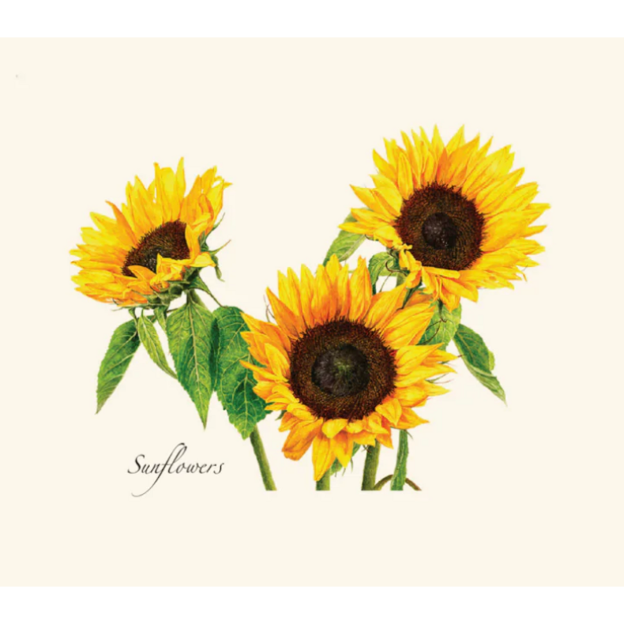 3 Sunflowers Boxed Note Cards