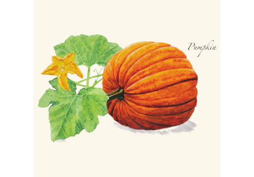 Earth sky water Pumpkin Boxed Note Cards 