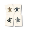 Earth sky water Sea Turtle Hatchling Assorted Boxed Notecards