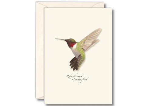  Earth sky water Ruby Throated Hummingbird Boxed Notecards 