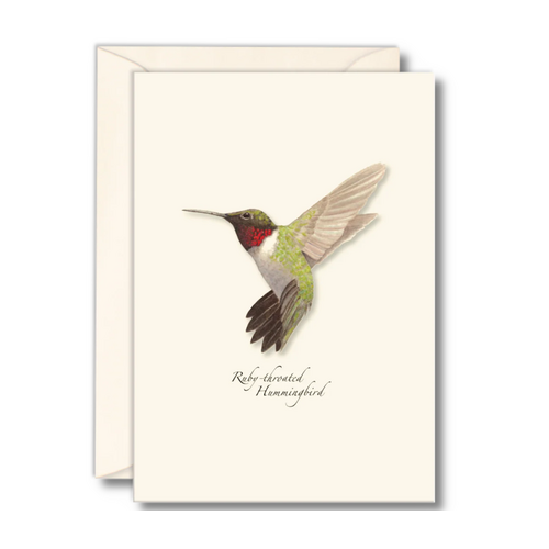  Earth sky water Ruby Throated Hummingbird Boxed Notecards 