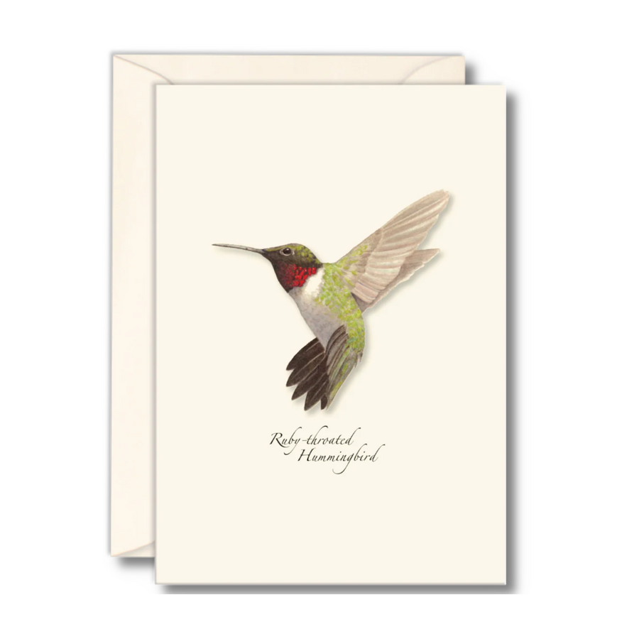 Ruby Throated Hummingbird Boxed Notecards