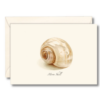 Moon Shell Boxed Cards