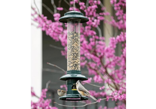  Squirrel Buster Evolution 