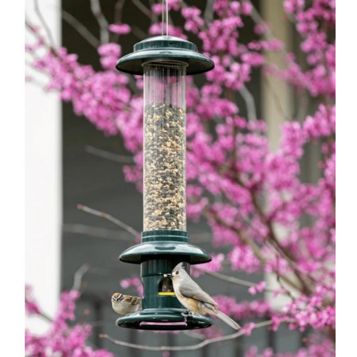  Squirrel Buster Evolution 