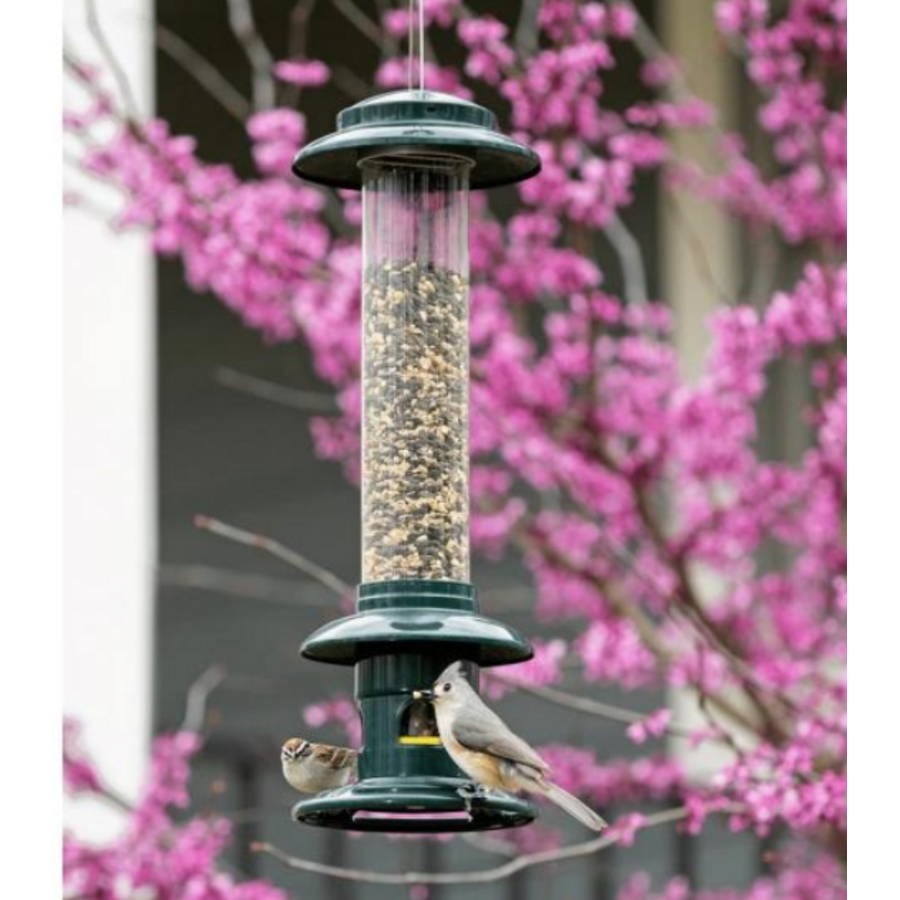 Squirrel Buster Evolution