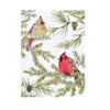 Peter Pauper Press Cardinals in Evergreen Boxed Holiday Cards