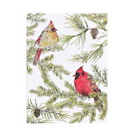 Cardinals in Evergreen Boxed Holiday Cards