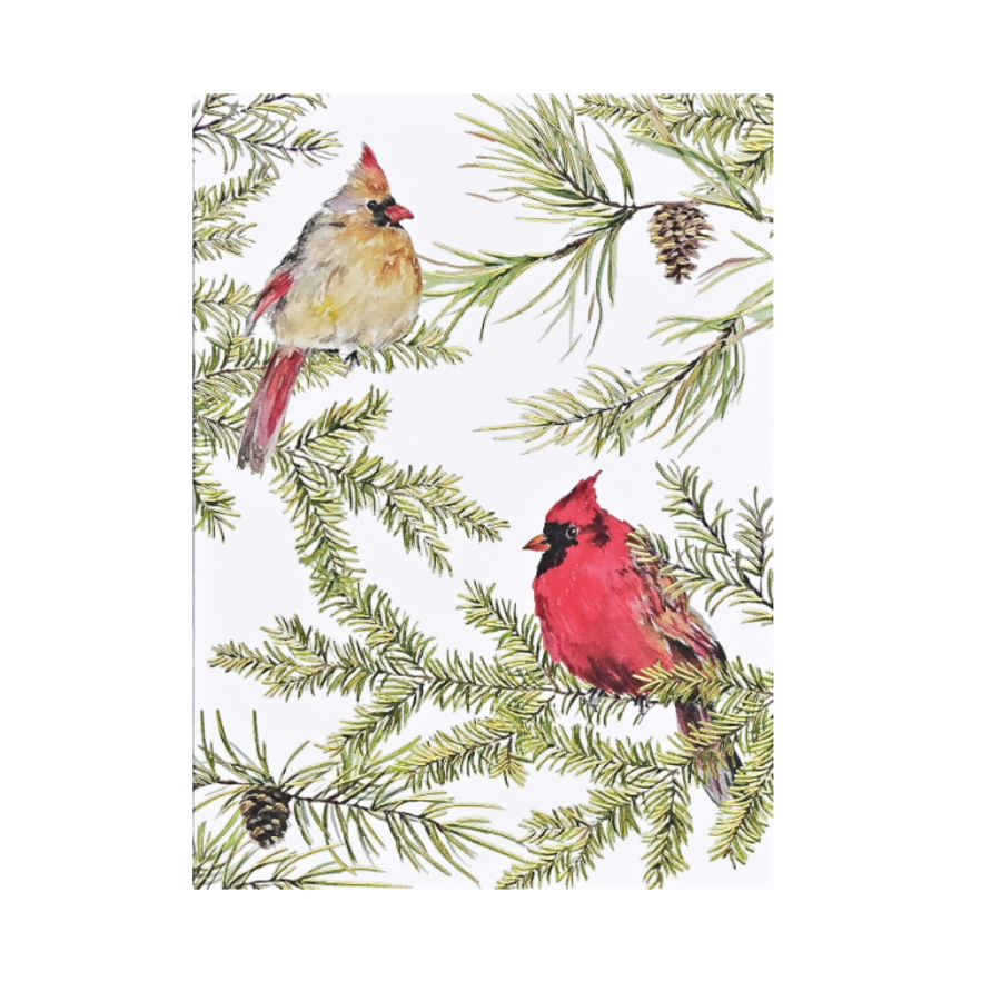 Cardinals in Evergreen Boxed Holiday Cards