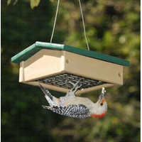 SE Upside Down Suet Feeder