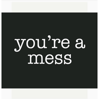 you're a mess Magnet