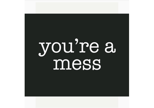  Fridgedoor you're a mess Magnet 