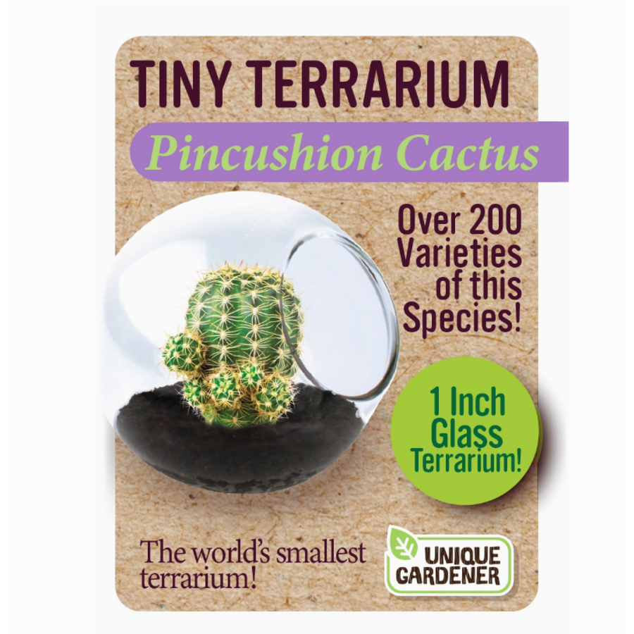 Tiny Terrarium Cactus