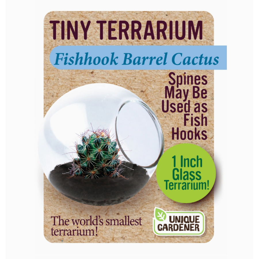 Tiny Terrarium Cactus
