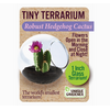 Tiny Terrarium Cactus