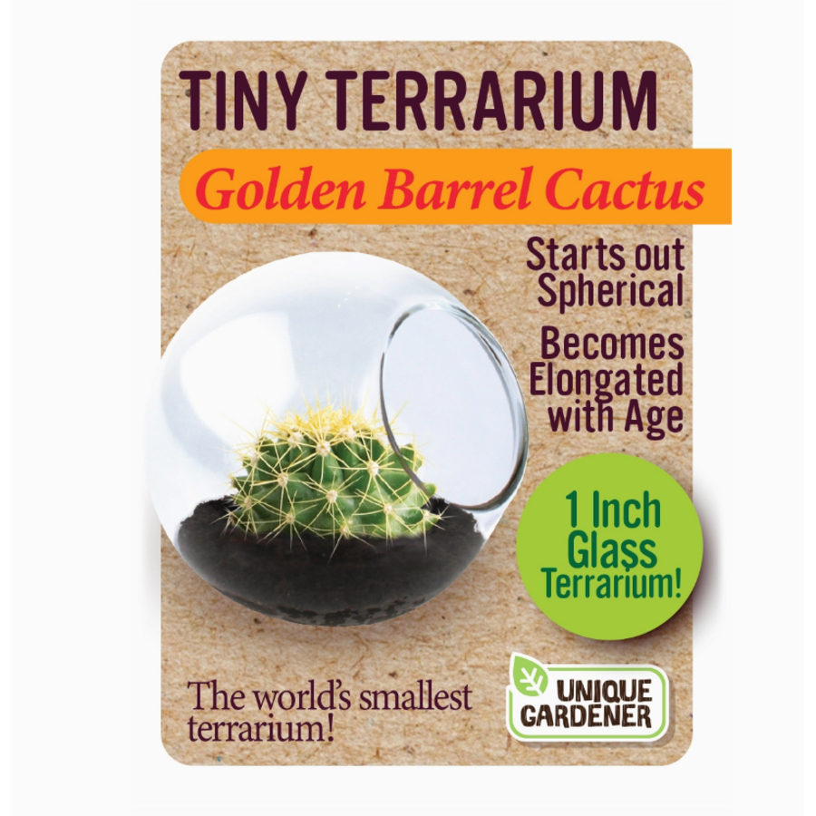 Tiny Terrarium Cactus