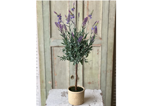 Darley Lavender Pot 26" 