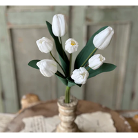 Triumph Tulip Bundle 14.5"