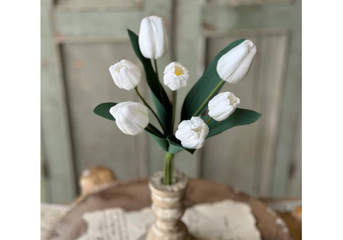  Triumph Tulip Bundle 14.5" 