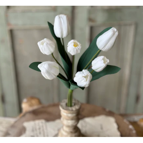  Triumph Tulip Bundle 14.5" 