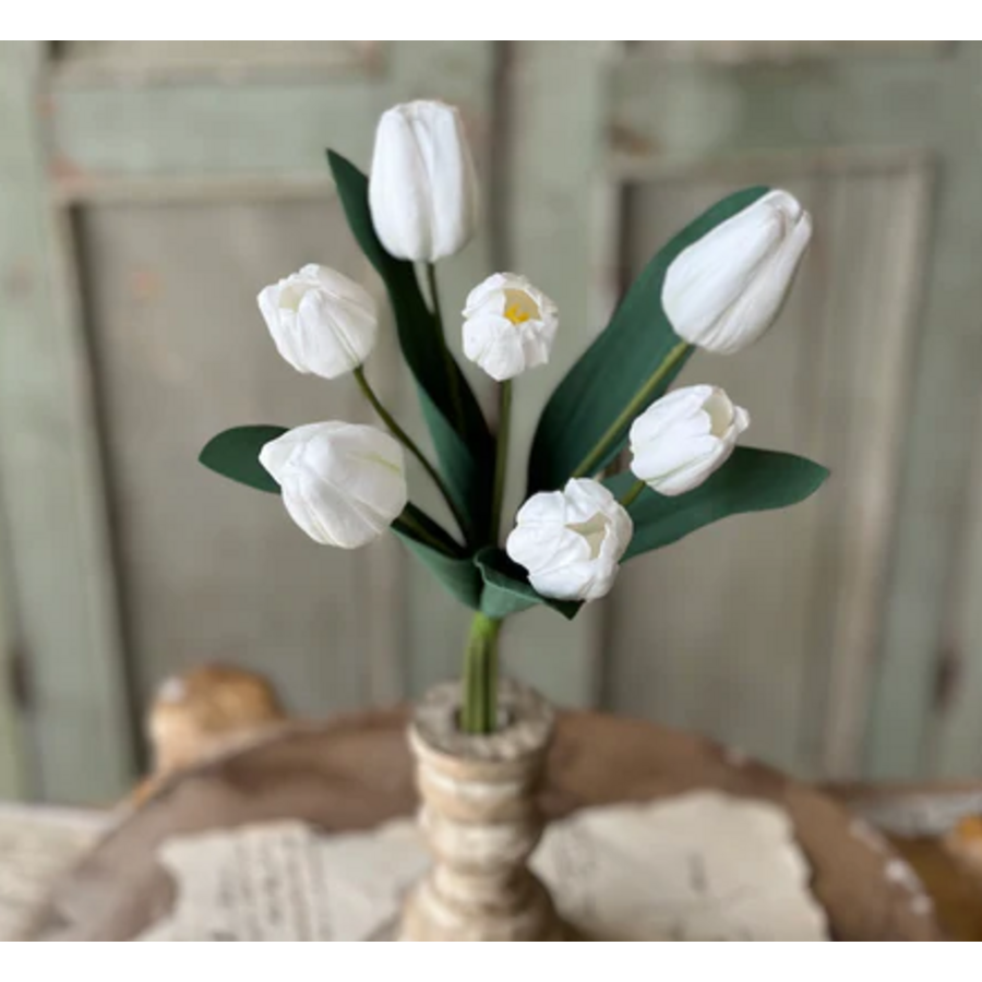 Triumph Tulip Bundle 14.5"