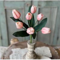 Triumph Tulip Bundle 14.5"