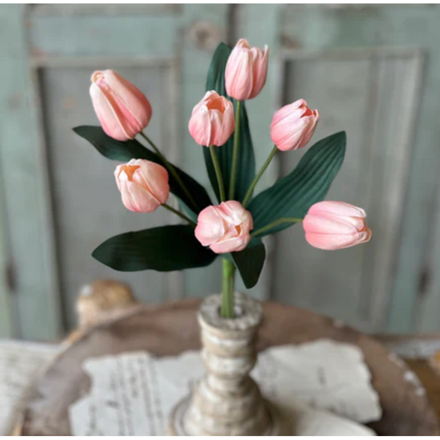 Triumph Tulip Bundle 14.5"