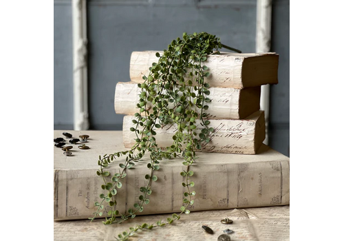  Boutonniere Vine Hanging 23" 