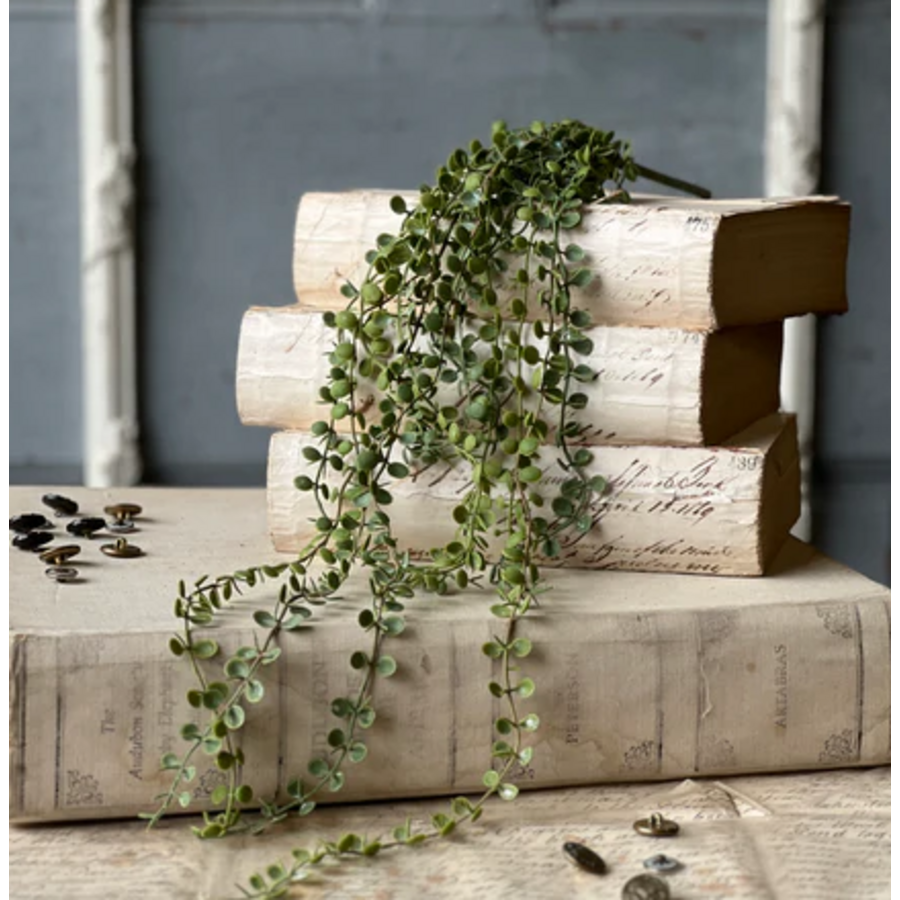 Boutonniere Vine Hanging 23"